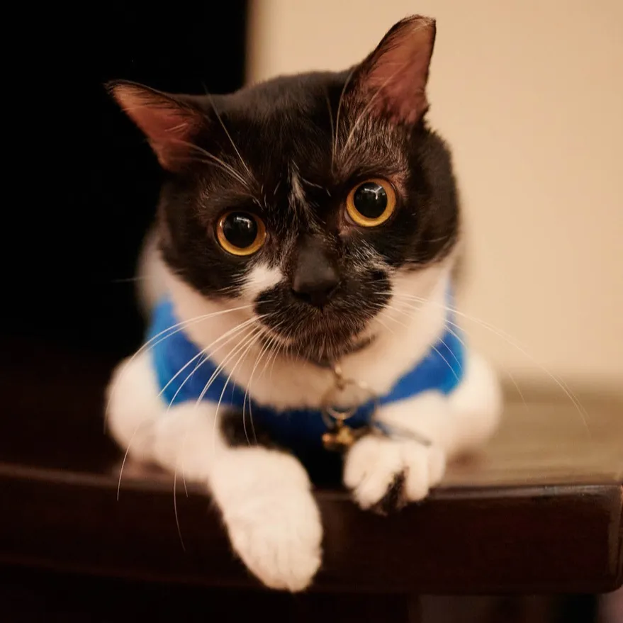 Coby