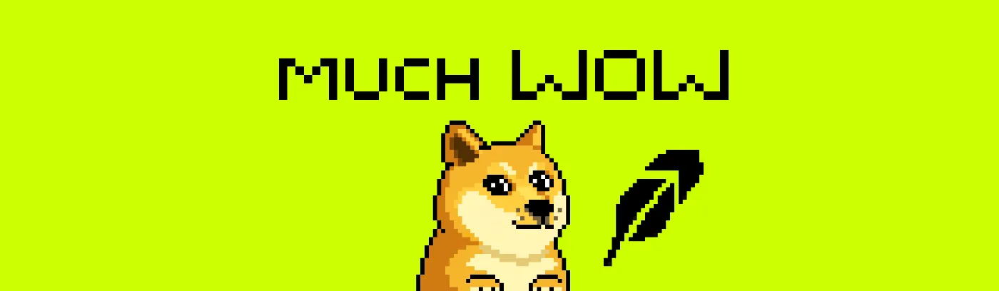 MuchWOW